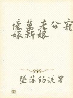 亿万老公宠上替嫁新娘