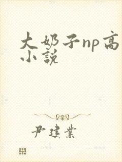 大奶子np高h小说封面
