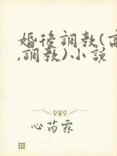 婚后调教(高h,调教)小说