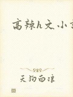高辣h文小说网