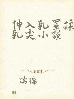 伸入乳罩揉她的乳尖小说