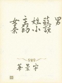 女主姓苏男主姓秦的小说封面