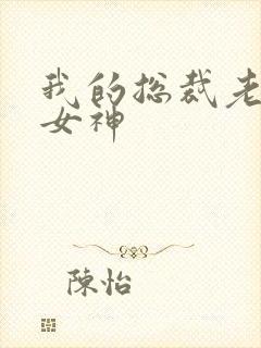 我的总裁老婆是女神封面