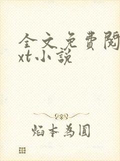 全文免费阅读txt小说