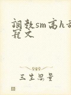 调教sm高h甜宠文封面