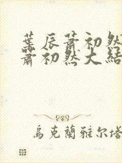 叶辰萧初然叶辰萧初然大结局看完封面