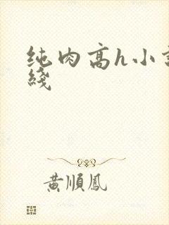 纯肉高h小说在线封面