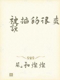 被插的很爽的小说封面