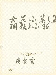 女友小叶(暴露调教)小说