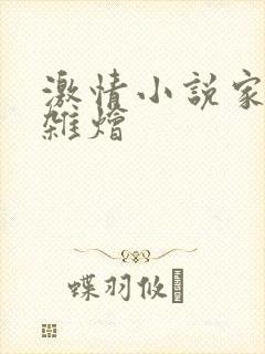 激情小说家庭大杂烩
