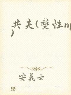 共夫(双性np)