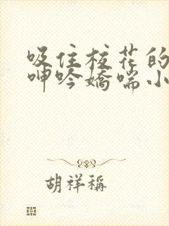 吸住校花的奶头呻吟娇喘小说