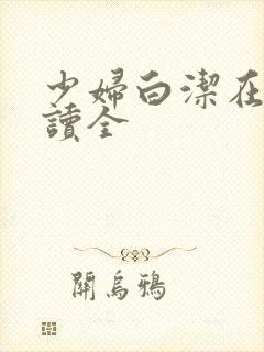 少妇白洁在线阅读全