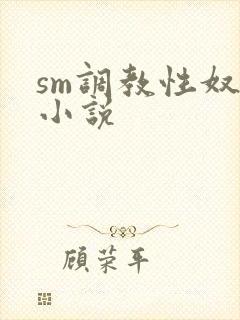 sm调教性奴隶小说封面
