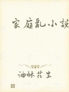 家庭乱小说在线封面
