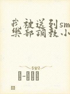 我被送到sm俱乐部调教小说