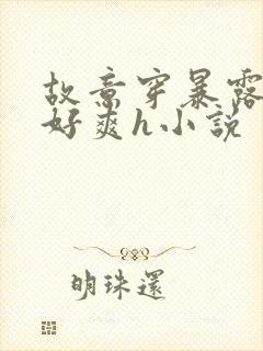 故意穿暴露被强好爽h小说