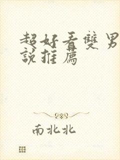 超好看双男主小说推荐