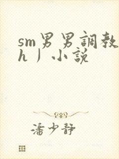 sm男男调教〈h丿小说