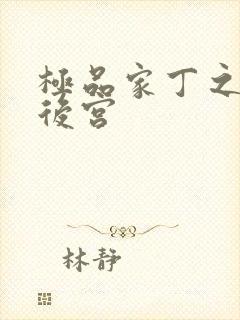 极品家丁之风流后宫封面