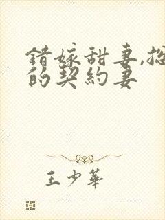 错嫁甜妻,总裁的契约妻