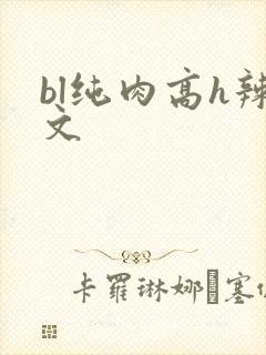 bl纯肉高h辣文