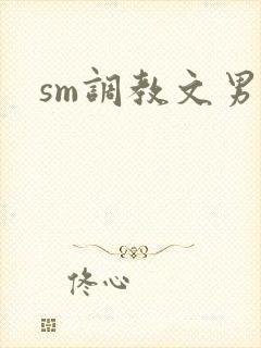 sm调教文男女封面