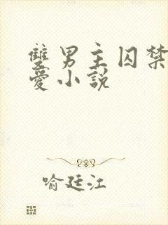 双男主囚禁强制爱小说