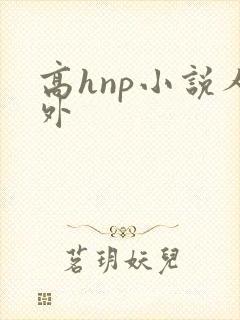 高hnp小说人外