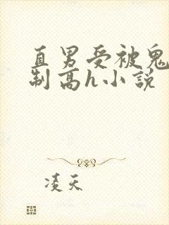 直男受被鬼攻强制高h小说封面
