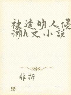 被透明人侵犯高潮h文小说封面