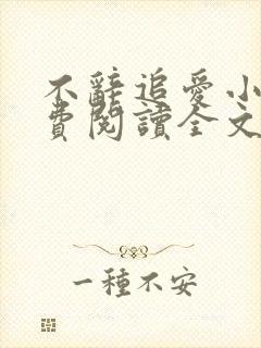 不辞追爱小说免费阅读全文最新章节封面