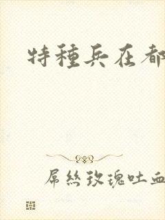 特种兵在都市