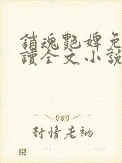 销魂艳婢免费阅读全文小说