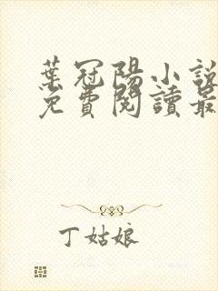 叶冠阳小说全文免费阅读最新章节