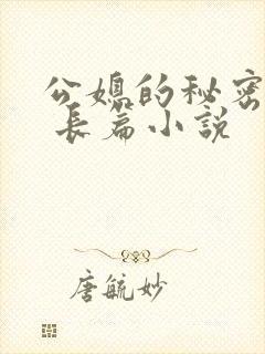 公媳的秘密性事 长篇小说