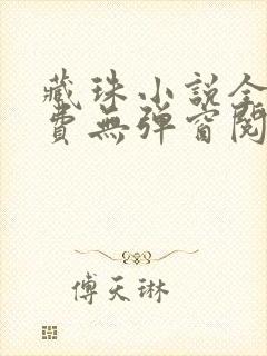 藏珠小说全文免费无弹窗阅读封面