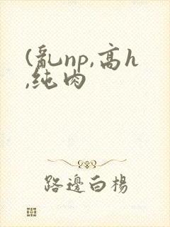 (乱np,高h,纯肉