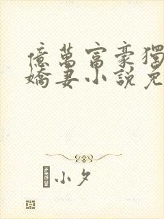 亿万富豪独宠小娇妻小说免费阅读