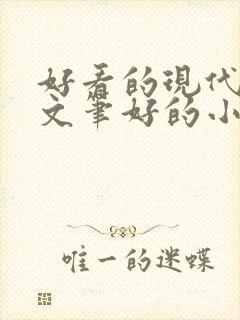 好看的现代言情文笔好的小说