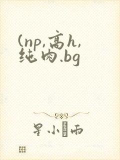 (np,高h,纯肉.bg