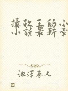 摄政王的小闲妻小说最新章节