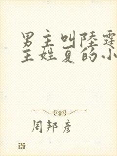 男主叫陆霆琛女主姓夏的小说封面