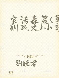 家法森严(军人训诫文)小说