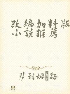 改编加料版同人小说推荐