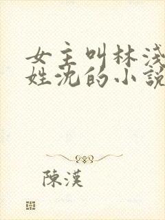女主叫林浅男主姓沈的小说