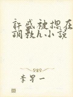 许盛被摁在床下调教h小说