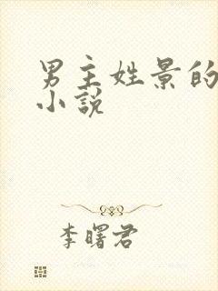 男主姓景的现代小说