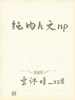 纯肉h文np封面