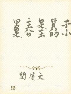 男主是质子女主是公主的小说